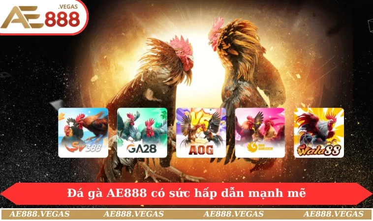 Đá gà AE888 có sức hấp dẫn mạnh mẽ